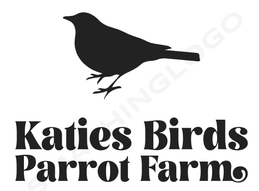 KATIE'S BIRDS PARROT FARM